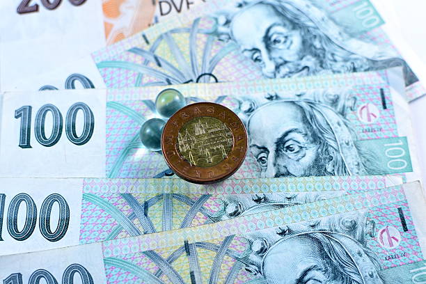 finanční podpora